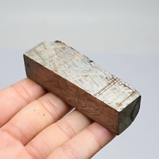 165g Muonionalusta meteorite part slice  A1814 picture