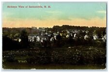 1914 Birds Eye View Exterior View Building Sanbornville New Hampshire Postcard picture
