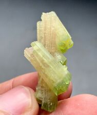 34 Cts Beautiful Termineted bi colourTourmaline Crystals bunch  from Afghanistan picture