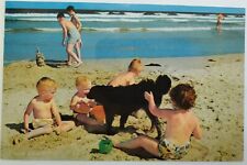 Cherry Grove, SC Me and my Pals at Cherry Grove Beach Kids with Dog Postcard g67 picture