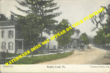 Bentley Creek PA Stores Carpenter & Pierce A1335U70 PM Wellsburg NY 1908 picture