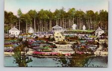 Postcard Gardens Duke University Durham North Carolina, Albertype Vintage N3 picture