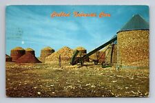 Cribbed Nebraska Corn Postcard c1959 picture