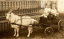 Goat Cart Wagon with Francis & Kenneth Curran Minneapolis MN 1910 era RPPC RR1 picture