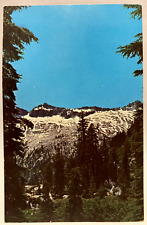 Trinity Alps Wilderness Area, from Ell Lake, California CA Vintage Postcard picture