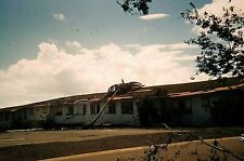 OM10 ORIGINAL KODACHROME 35MM 1950s SLIDE RANCH DAMAGE WEATHER PALM RIPPED OUT picture