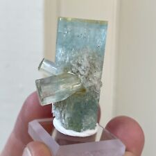 Rare 1.4” Museum Quality Aquamarine Beryl DT Crystal Specimen - Erongo, Namibia picture