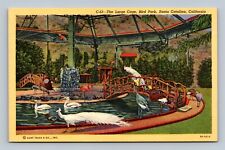 Santa Catalina CA California The Large Cage Bird Park Linen Postcard picture