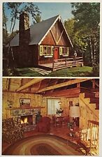 Boyne Falls Log Homes Inc Boyne Falls Michigan MI Unused Advertising Postcard picture
