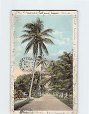 Postcard Auto Drive Palm Beach Florida USA picture