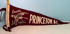 Vintage Princeton British Columbia Canadian Geese Logo Full Size Pennant picture
