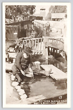 RPPC Buena Park California Knott's Berry Place Gold Panning c1940 Photo Postcard picture
