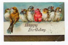 1906 Birthday Postcard 8 Birds Sitting On A Wall Posted picture