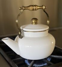 Vintage White Enamelware Tea Kettle w/ Heavy Brass Handle & Trim picture