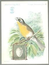 Singer Sewing Machine Bird Series Yellow-Breasted Chat Catbird Lot of Two Cards picture