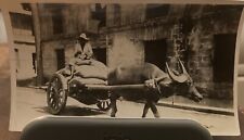 Early 20th Century Photograph Filipino Rice Transportation On Ox Driven Cart picture