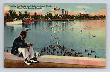 Linen Postcard West Palm Beach FL Florida Feeding Ducks Gulls Lake Worth picture