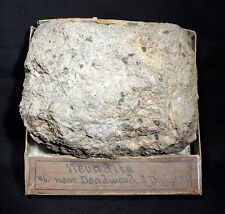 727 gram Nevadite Rhyolite with original Wards Box & Label from late 1800's picture