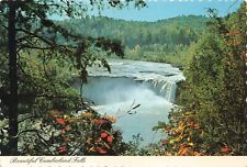 Postcard KY Corbin Cumberland Falls Waterfall State Park Flowering Tree Niagara picture