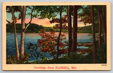 Vintage Postcard MO Florida Greetings Nature Trees Water ~6758 picture