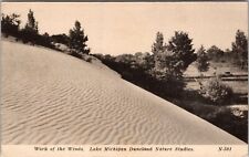 Work Of The Winds, Lake Michigan Duneland Nature Studies Vintage Postcard picture