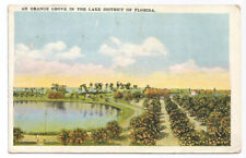 FL Postcard Florida Orange Grove Lake District c1920s picture