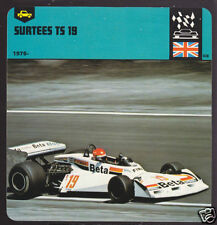 1976 1977 1978 JOHN SURTEES TS 19 Formula 1 Car CARD picture