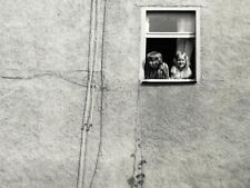 R3 Photo Artistic Abstract Boy Girl Looking Out Of Window Building Germany picture