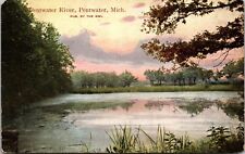 Pentwater Michigan Colorized Vintage Postcard Lovely Pentwater River Posted 1908 picture