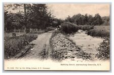 Babbling Brook approaching Grooville NY Divided Back Postcard picture
