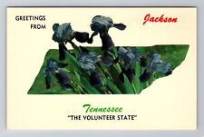 Jackson TN-Tennessee, General Greetings Flowers, Antique, Vintage Postcard picture