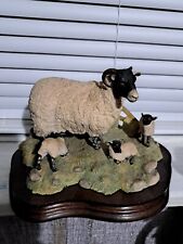 Border Fine Art Swaledale Ewe N Lambs Sheep James Herriot (Limited Edition  picture