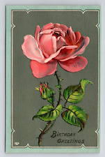 Antique Embossed Postcard Birthday Greetings Pink Rose 1907 Wisconsin WI Cancel picture