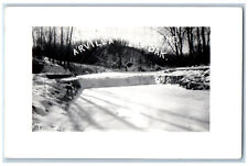 Arvilla North Dakota ND Postcard State Park Scene c1910 RPPC Photo Antique picture