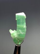 19 Cts Beautiful termited Tourmaline Crystal Bunch  from Afghanistan picture