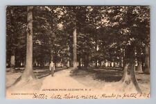 Elizabeth NJ-New Jersey, Jefferson Park, Scenic View, c1906 Vintage Postcard picture