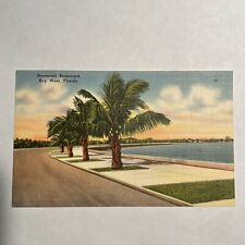Key West FL Florida, Roosevelt Boulevard, Scenic View, Vintage Postcard Blvd picture