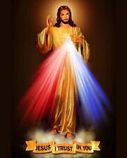 Jesus Christ Divine Mercy Jesus I Trust In You 8x10 Photo Picture Christian Art picture
