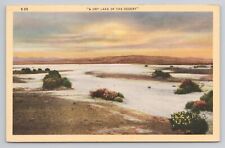 A Dry Lake of the Desert Linen Postcard No 6222 picture