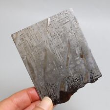 165g Iron meteorite, Muonionalusta iron meteorite slice, Natural Meteorite J296 picture