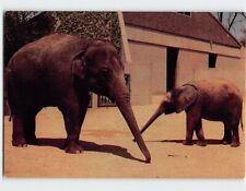 Postcard Let's Clean Up Elephants picture