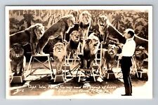El Monte CA-California RPPC Trainer Gay's Lion Farm Real Photo 1930 Old Postcard picture