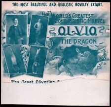 c1900 - Olvio - Worlds Greatest Equilibristic Marvel - Letter Head Bill picture