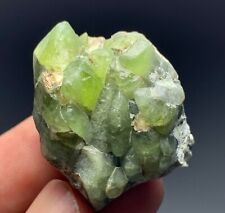 134 Cts Natural Peridot Crystal Specimen from Pakistan.z picture