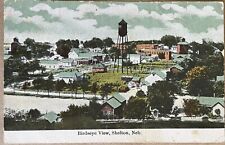 Shelton Nebraska Water Tower Birds Eye View Antique Postcard c1910 picture