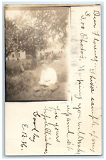 1905 Woman Scene Field Stoneham Massachusetts MA Posted Antique Postcard picture