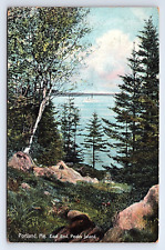 Postcard Portland Maine East End Peaks Island ME c.1908 picture