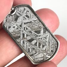 Natural Aletai Meteorite Perfect Military Etched Pendant Stainless Steel Frame picture