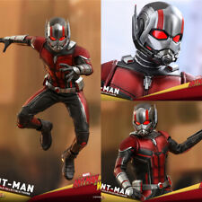 In Stock Hot Toys MMS497 1/6 Ant-Man 2: Wasp Woman Present Ant-Man Action Figure picture