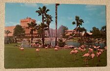 Postcard Tampa Florida Busch Gardens Flamingos Budweiser Building Vintage picture